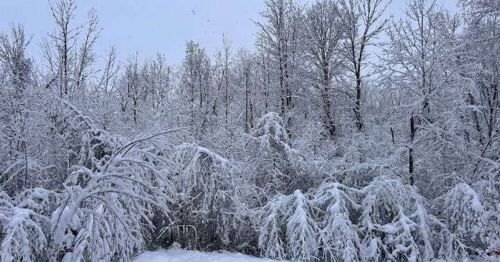 Environment Canada caught off guard as Montreal hit hard by snowstorm