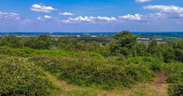 Lickey Hills thug hunted after dog hit with golf club in 'unprovoked act of violence'