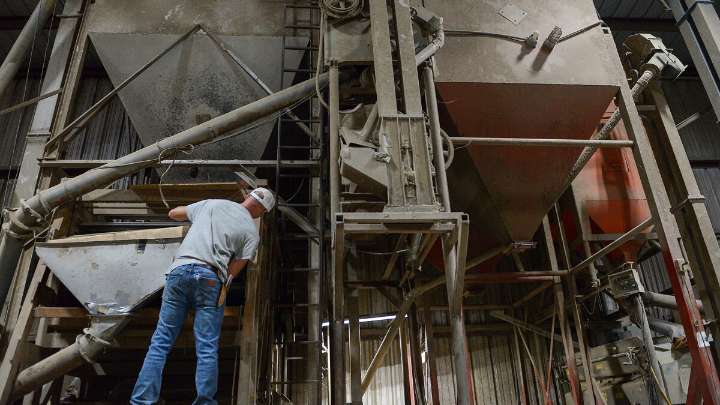 Cover crops can heal soil, but need time to take root