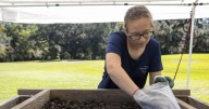 Photos: Archaeologists at Drayton Hall excavate old well predating the family's use of the land