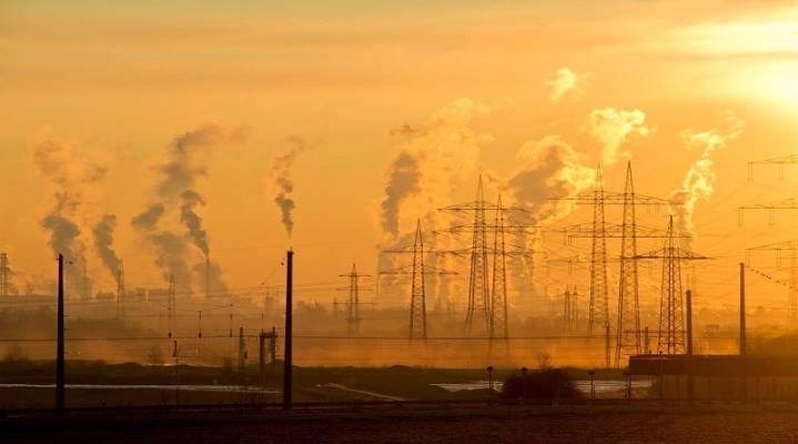 Venezuela reafirma defensa de la biodiversidad y el modelo sostenible