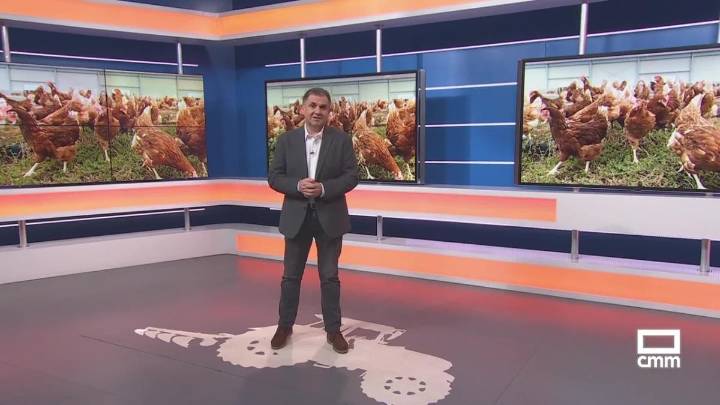 El campo - 06/11/2025