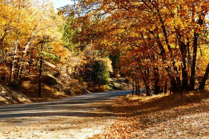 Now is the time to ‘peep’ some autumn magic in the San Bernardino Mountains