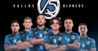 Gallos anuncia sus primeras 6 bajas para la próxima temporada