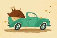 MAHA and your Thanksgiving table — and why the new dietary guidelines are generating so much buzz