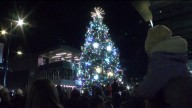 3, 2, 1, Cheers!! Milwaukee's tree lights up for the holiday season 🎄