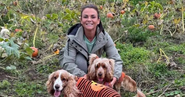 Mum's life is 'ruined' in hit-and-run incident as police make arrest