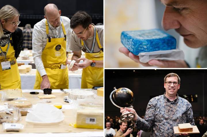 Heady odors and sensory overload as 5,200 cheeses compete for the World Cheese Awards