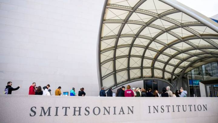 Smithsonian museums, National Zoo reopenings bring flocks of visitors