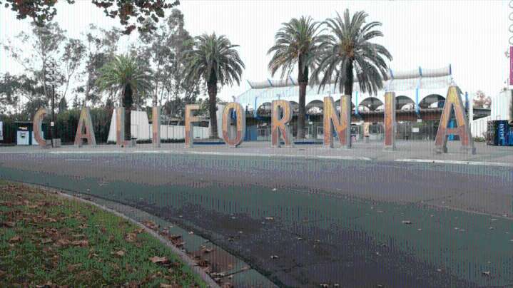 Oddities and Curiosities Expo showcases the weird and wonderful in Sacramento