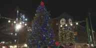 East Lansing holds first-ever tree lighting ceremony