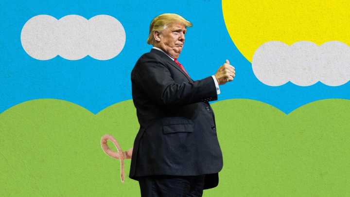 ‘Quiet, Piggy’: Trump’s viral insult has already become an anti