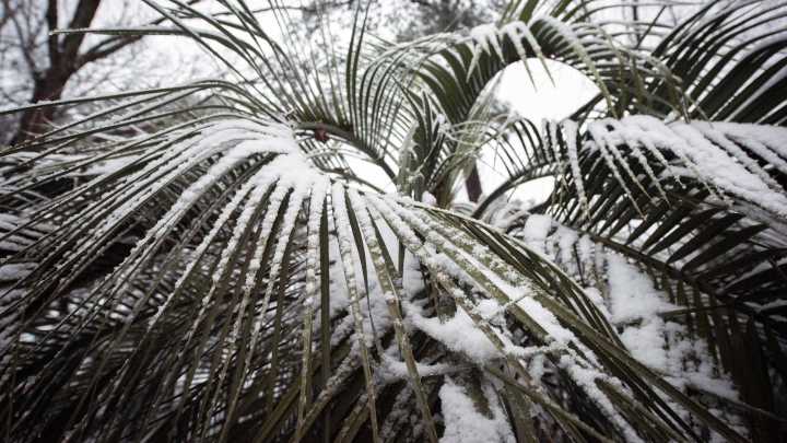 Could Mississippi see snow this Thanksgiving? See long