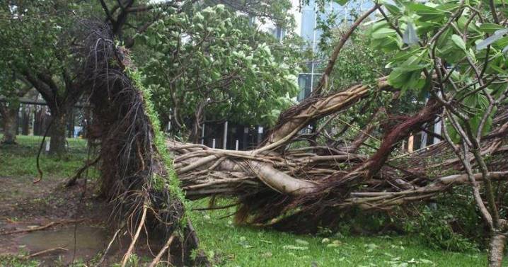 Top Enders see cyclone off but rain and wind continues