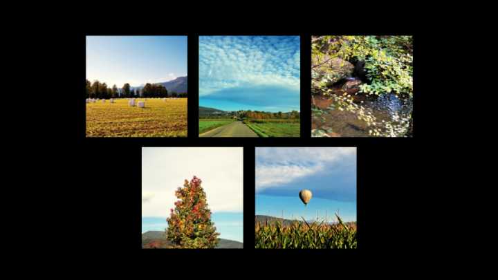 La Vall d'en Bas dibuja el auténtico otoño