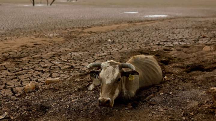 Ocho de cada diez mexicanos perciben efectos del cambio climático