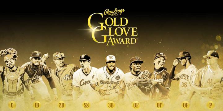 2025 Minor League Gold Glove Award winners