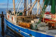New Orleans shrimp festival passes test for local Gulf shrimp