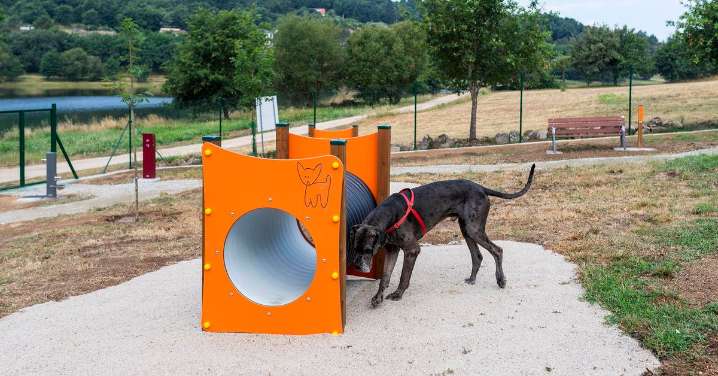 La Xunta hará en Barrocás un gran parque canino
