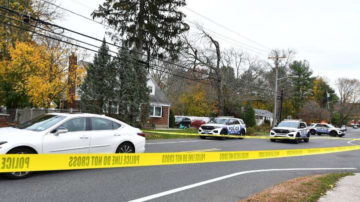 Woman walking dog in Greenlawn critical after car hits her, Suffolk police say