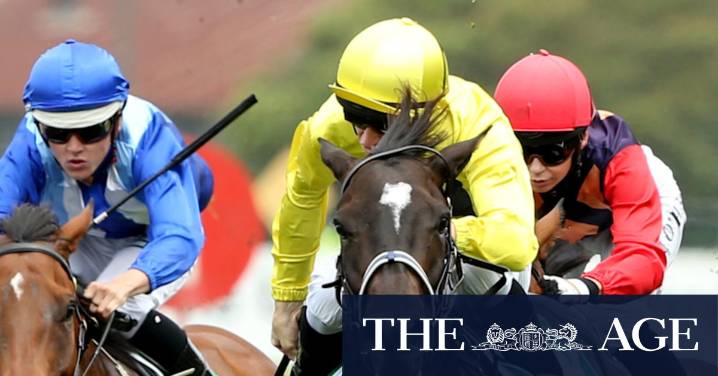 Rising trainer chasing second quick win from Canberra base