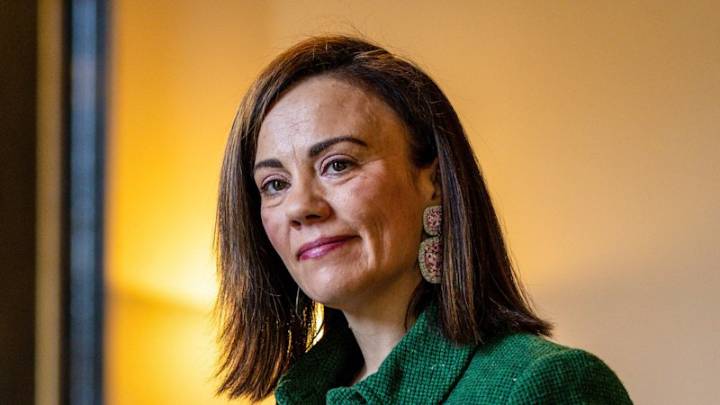 Allan government postpones key child safety reform on Working With Children Checks in row over disability watchdogs, Social Services Regulator