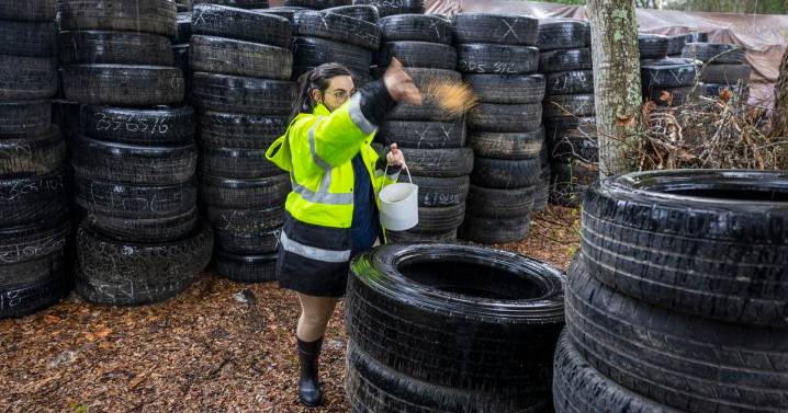 St. Tammany Mosquito Abatement District sues Parish Council over investigation into finances