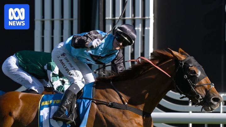 Female jockey Jamie Melham discusses riding Melbourne Cup favourite Half Yours