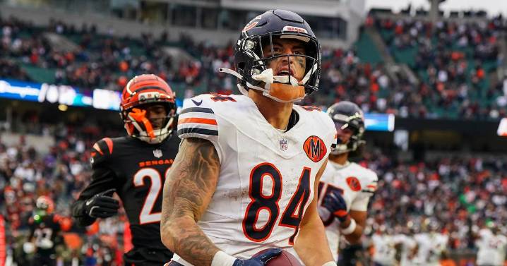 Chicago Bears’ Colston Loveland named Week 9 NFC Offensive Player of the Week