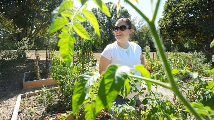 Plain Township community garden yields bountiful harvests