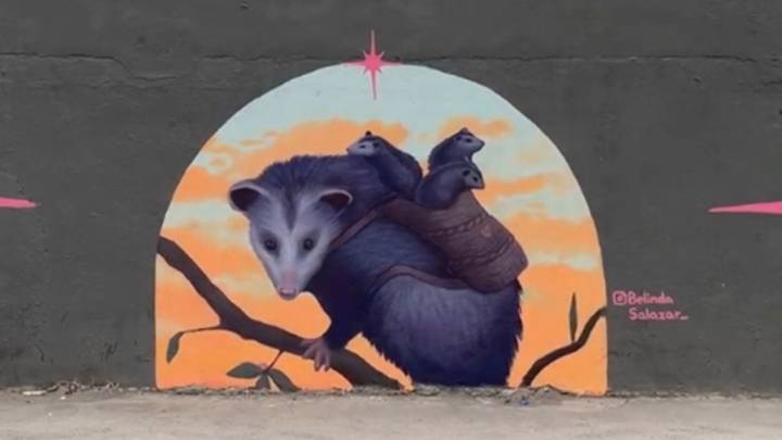 Mural de mamá tlacuache causa ternura en San Nicolás: ¿Dónde está ubicado?