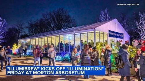 Morton Arboretum 'IllumiBrew' Friday kicks off 'Illumination: Tree Lights' event in Lisle for holiday season