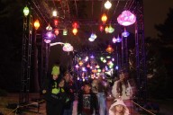 Morton Arboretum's holiday light show highlights nature