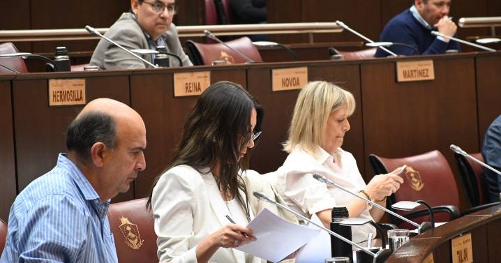 Nuevo bloque en la Legislatura de Neuquén: cruces por los diputados que rompieron con el oficialismo