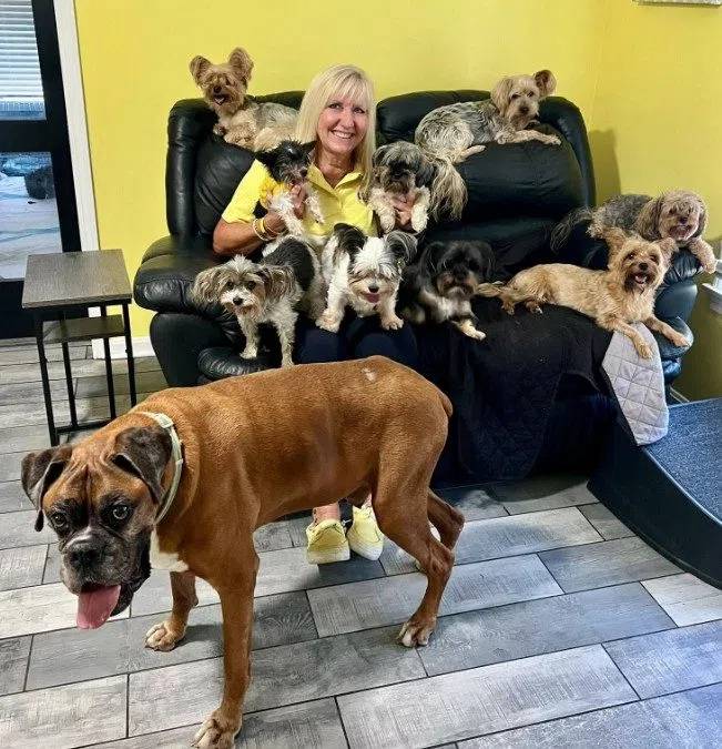 New Director Of Animal Control Holds Open House