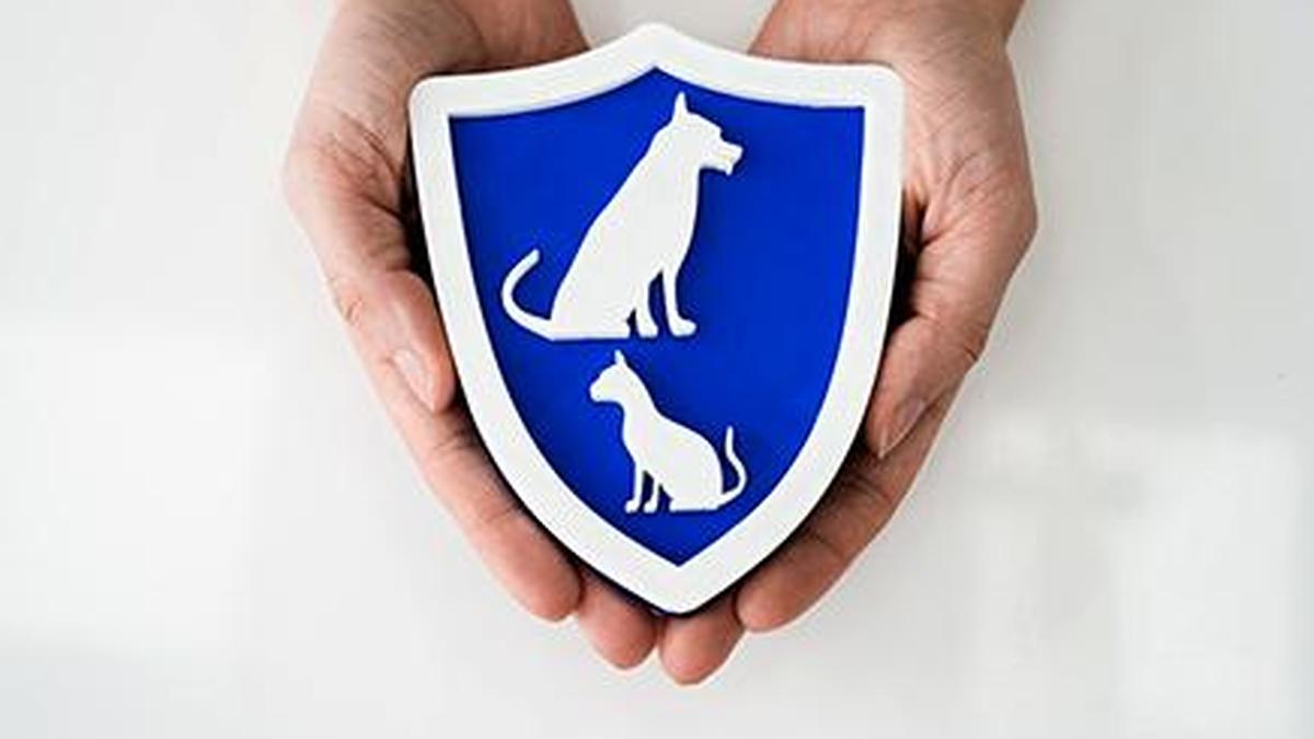 Reliance ventures into pet-care market with Waggies