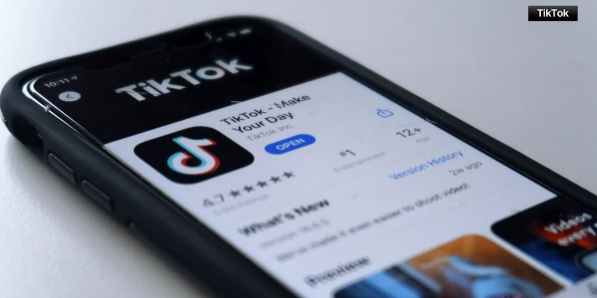 Two men involved in intense confrontation on a viral TikTok appeared in court