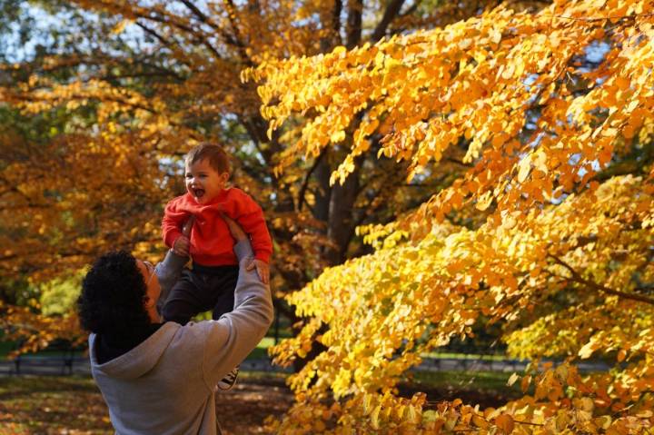 How much does it cost to raise a child in Nevada?