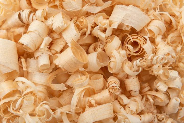 Investigación. El inesperado resultado que arrojó el uso del aserrín para alimentar a las vacas