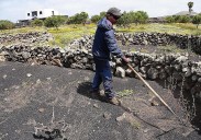 El Cabildo ayuda a 122 agricultores