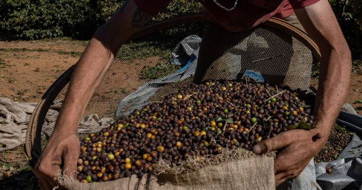 Trump ‘se tienta el corazón’ y prevé disminuir aranceles a alimentos: ¿Qué productos tendrán reducción?