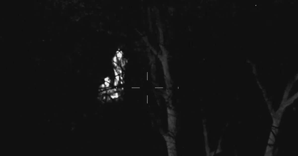 WATCH: Toronto police rescue of couple with baby at Rouge National Urban Park