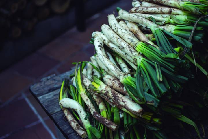 De Cataluña a Las Rozas: dos fines de semana llenos de calçots en su particular 'Calsotada Fest'