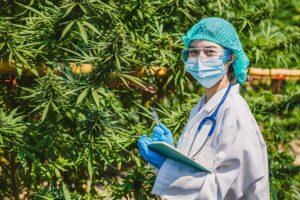 Medical cannabis advocates cleared to begin collecting signatures for new Idaho ballot initiative