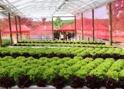 Eldorado inauguró el CITECH, un nuevo polo de innovación y desarrollo tecnológico para Misiones