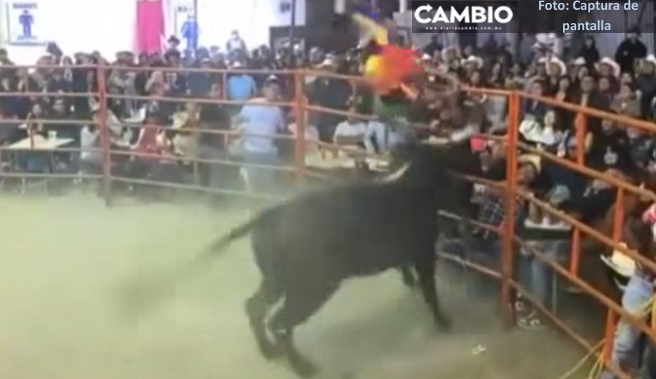 VIDEO FUERTE: Payaso “Limoncito” es embestido por un toro en jaripeo de Izúcar