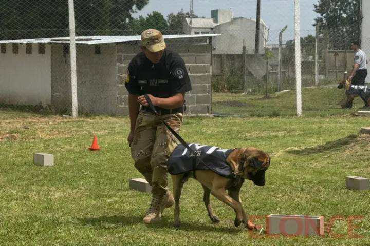 Inauguraron un parque didáctico para el adiestramiento de perros del Servicio Penitenciario