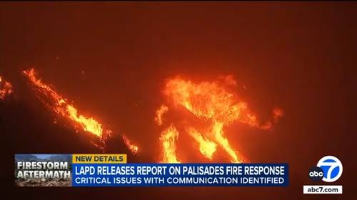 LAPD's response to during Palisades Fire was marked by miscommunication, confusion, report says