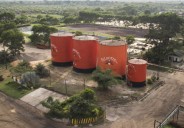 Sostenibilidad y agroindustria en Palnorte S.A.S.