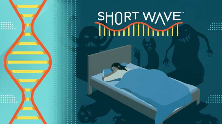 A sleep scientist on why we have nightmares  : Short Wave : NPR
